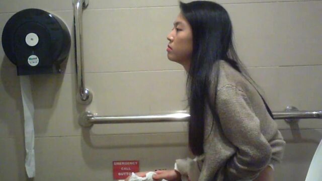 sg hidden cam in public toilet [3]